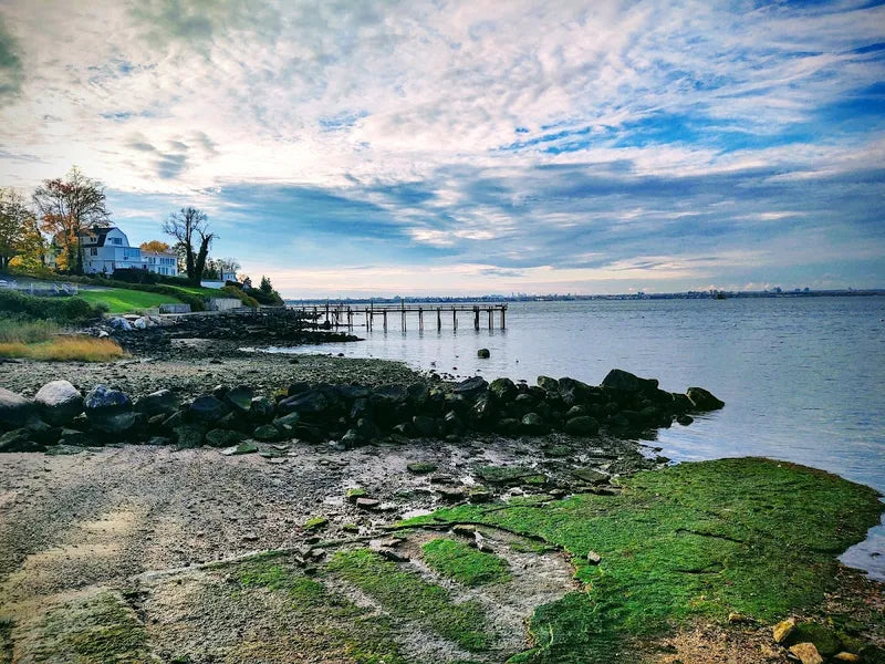 A lush park in Williston Park